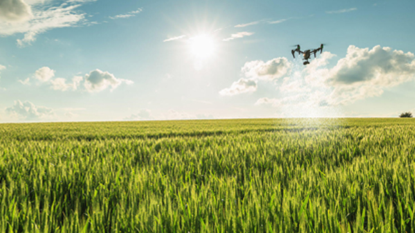 Empleo de drones para Agricultura en JOB TO DRON